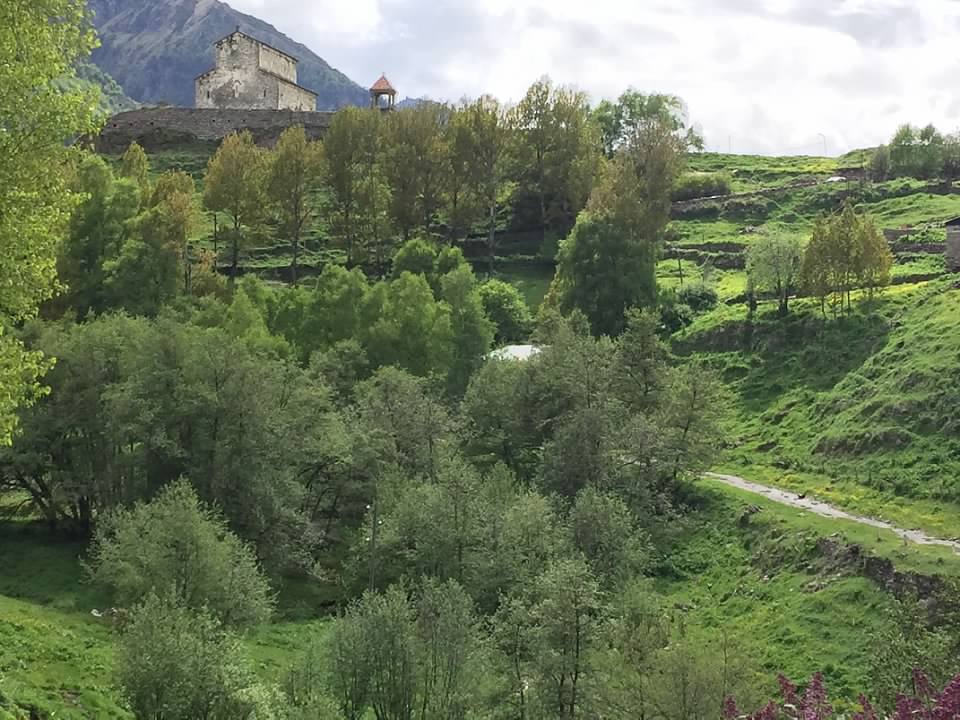 This image has an empty alt attribute; its file name is kaz-view-from-lianas.jpg